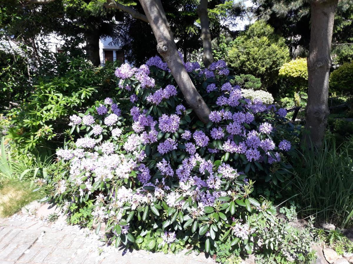 Villa Jaskolka Miedzyzdroje Esterno foto