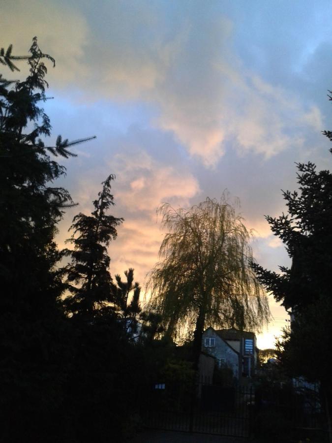 Villa Jaskolka Miedzyzdroje Esterno foto